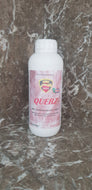 Querz Solvent based sealer with alkaline silicate